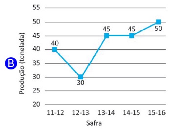 Opção B