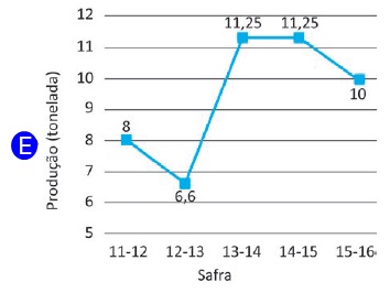 Opção E