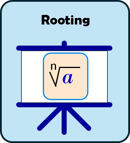 Rooting exercises
